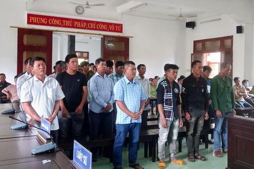 Tuyên án 27 bị cáo trong vụ phá rừng Hòn Đót ở Phú Yên