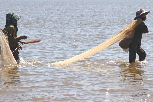 Hà Tĩnh: Người dân đổ xô cào 'lộc biển' ốc ruốc sau mưa lũ