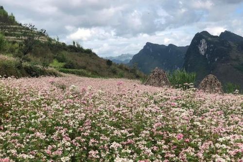 Hà Giang tăng tốc phát triển du lịch bền vững