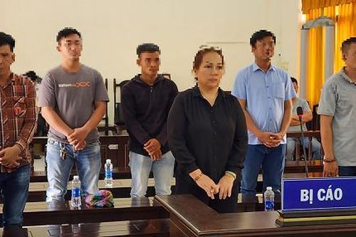 Nhóm đối tượng hủy hoại tài sản của 3 hộ dân tại TP. Phú Quốc lĩnh án