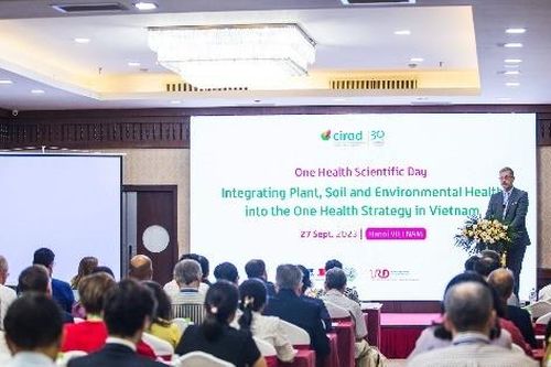 Hệ sinh thái 'Một sức khỏe' thúc đẩy phát triển bền vững