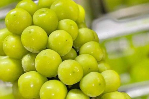 Sự thật nho 'quý tộc' giá rẻ bất ngờ, hạt điều chỉ 79.000 đồng/kg