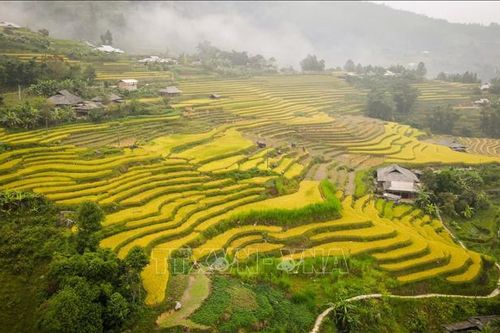 Du lịch thúc đẩy phát triển kinh tế - xã hội vùng đồng bào dân tộc thiểu số