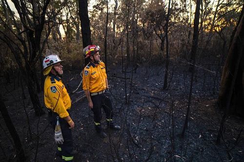 Australia: Bang New South Wales 'gồng mình' ứng phó 70 vụ cháy rừng xảy ra trong ngày
