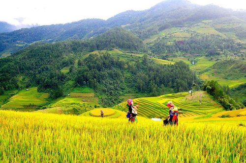 Giải pháp thúc đẩy phát triển bền vững vùng Trung du và miền núi Bắc Bộ