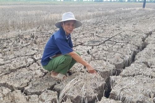 Vì sao 5 triệu người dân đồng bằng sông Cửu Long đang thiếu nước sinh hoạt?