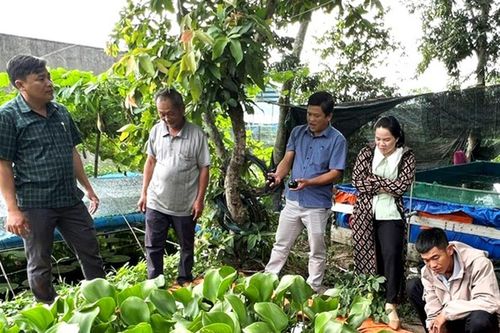 Xuân An hỗ trợ sinh kế giúp người dân thoát nghèo
