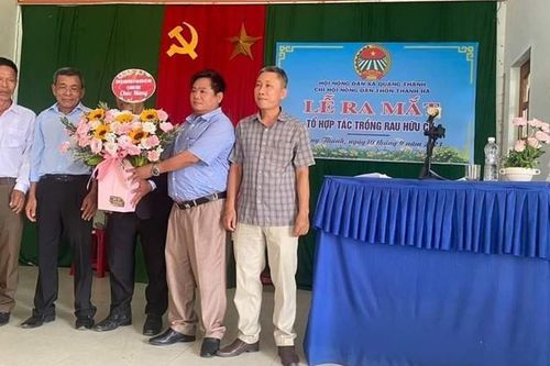 Quảng Điền đưa vào hoạt động tổ hợp tác trồng rau hữu cơ