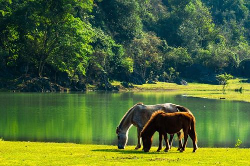 Thảo nguyên Đồng Lâm: 'Mông Cổ thu nhỏ' giữa lòng xứ Lạng