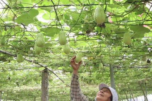 Đồng bộ giải pháp hỗ trợ hợp tác xã