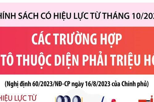 Các trường hợp ô tô thuộc diện phải triệu hồi từ 1-10