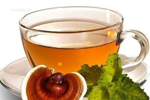 4 loại trà hỗ trợ cải thiện trí nhớ ở người cao tuổi