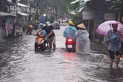 Triều cường, nước ngập 'bủa vây' thành phố Cà Mau