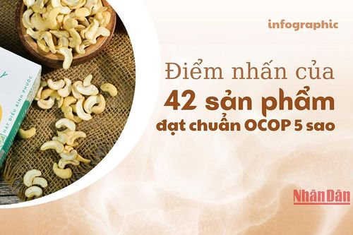 Điểm nhấn của 42 sản phẩm đạt chuẩn OCOP 5 sao