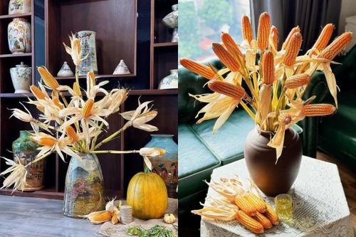 Chán hoa tươi, chị em lùng mua ngô về cắm chơi