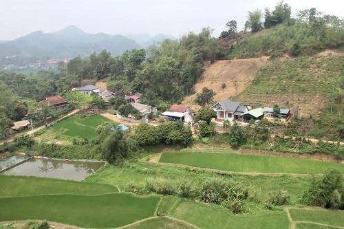 Tập trung hỗ trợ xây dựng nhà mới, sửa chữa nhà ở cho hộ nghèo