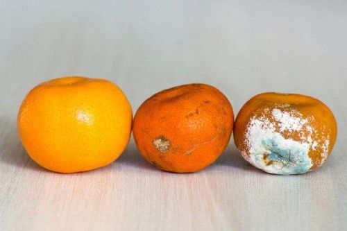 Loại trái cây rút ngắn tuổi thọ, càng ăn càng dễ mắc ung thư