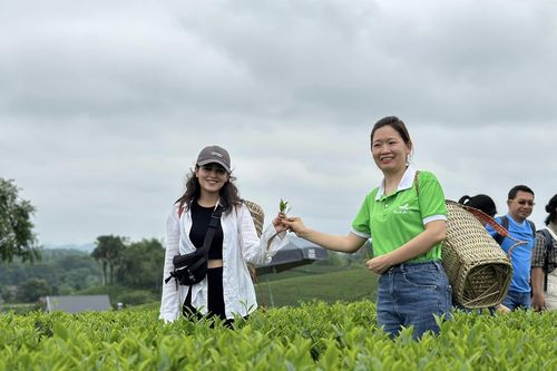 Phát triển hợp tác xã giúp giảm nghèo hiệu quả