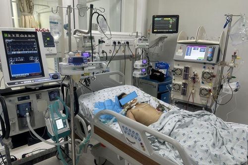2 trẻ suy đa tạng do ong đốt