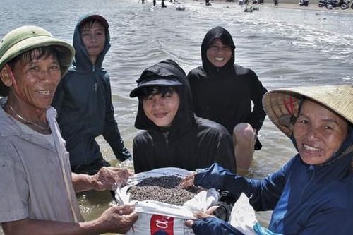 Người dân đổ xô ra biển vớt 'lộc Trời', ngày kiếm tiền triệu
