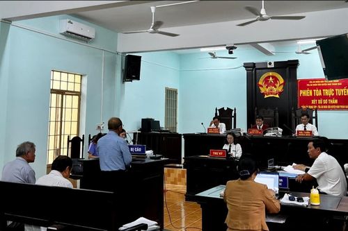 Tranh luận về giám định trong vụ án 'hủy hoại rừng' ở Bình Thuận