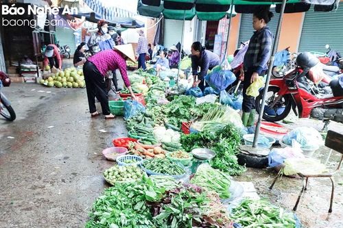 Sau mưa lũ, rau xanh ở Nghệ An 'đội giá'