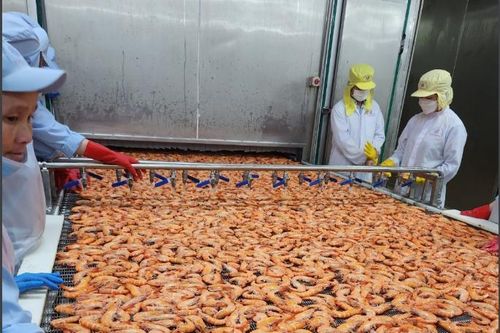 UOB: Giảm dự báo tăng trưởng GDP cả năm của Việt Nam xuống còn 5%