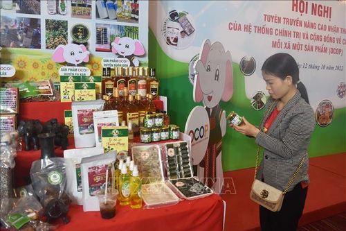Thương hiệu của sản phẩm nông nghiệp phải nằm trên bản đồ chuyển đổi số