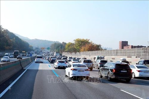 Nợ thuế ô tô của người nước ngoài cư trú tại Hàn Quốc tăng hàng năm