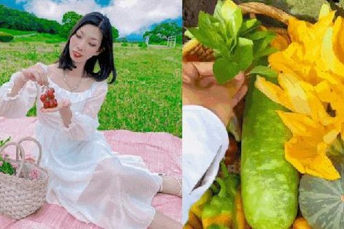 Chỉ tốn 1 triệu/năm thuê đất, cô gái Việt sống ở Nhật sở hữu khu vườn ngập cây trái