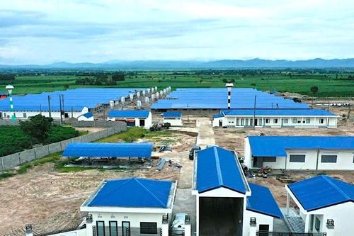 Có 77 dự án chăn nuôi công nghệ cao được cấp quyết định chủ trương đầu tư