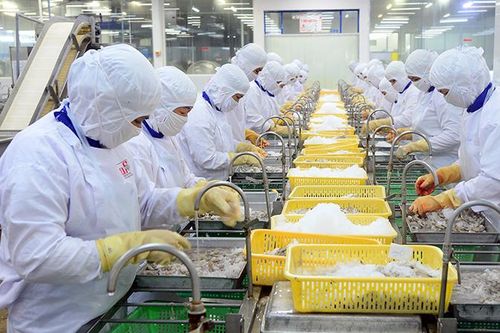 Tạo đà hình thành nền nông nghiệp sinh thái, minh bạch, trách nhiệm