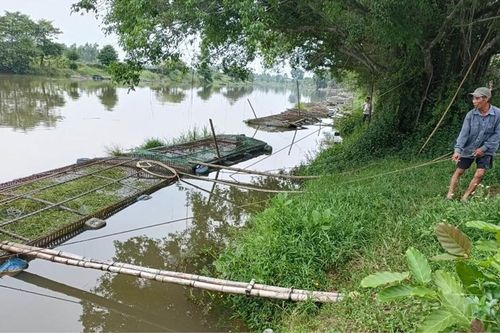 Hướng đến nuôi trồng thủy sản tránh lũ