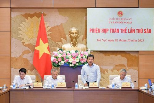 Ủy ban Đối ngoại thẩm tra công tác đại sứ
