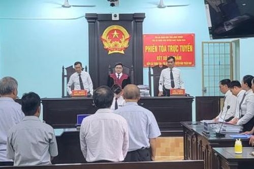 Bị cáo kêu oan vì giám định… 'củi cũng là gỗ!'
