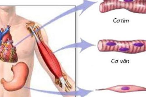 Nam sinh bị thầy giáo phạt 'thụt dầu' 200 cái vì tội nói chuyện riêng bất ngờ nguy kịch vì mắc bệnh này