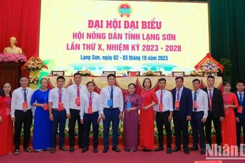 Xây dựng tổ chức Hội Nông dân Lạng Sơn vững mạnh toàn diện