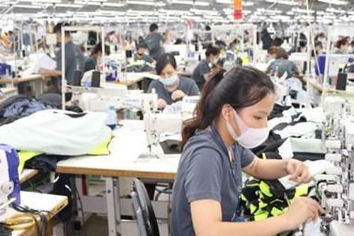 Chủ động thích ứng với tiêu chuẩn mới của EU