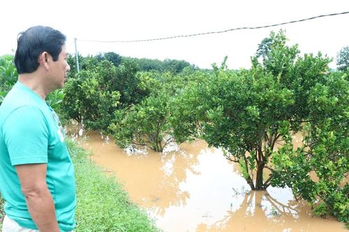 Lũ thượng nguồn đổ về gây ngập sâu nhiều nơi ở huyện Đồng Phú và TP Đồng Xoài