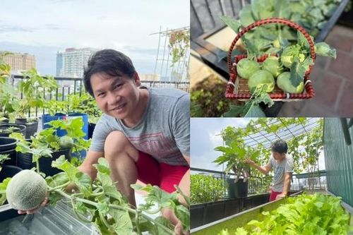 Không gian 'quê' giữa phố trong nhà ca sĩ Trọng Tấn