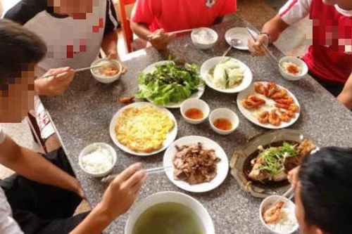 Xác minh thông tin về chế độ dinh dưỡng của đội tuyển bóng bàn trẻ quốc gia