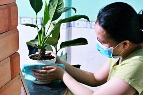 Thuê chị chồng làm giúp việc, không ngờ bị nhòm ngó khắp phòng ngủ