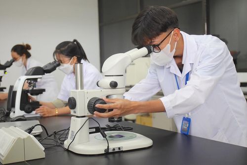 Nhật Bản cam kết hỗ trợ Việt Nam phát triển nguồn nhân lực chất lượng cao