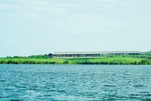 Dòng chảy xanh, trang trại sạch: Sử dụng hiệu quả tài nguyên nước tại trang trại TH