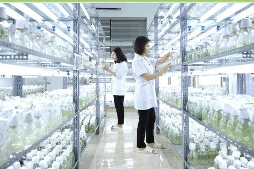 Doanh nghiệp khoa học và công nghệ hưởng ưu đãi theo Nghị định 13 còn 'nhỏ giọt'