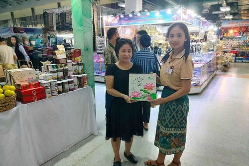 Nhiều giải pháp nâng cao giá trị cây sen
