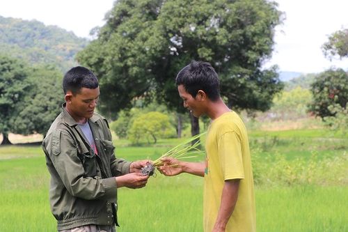 Kông Chro ưu tiên đào tạo nghề cho lao động dân tộc thiểu số