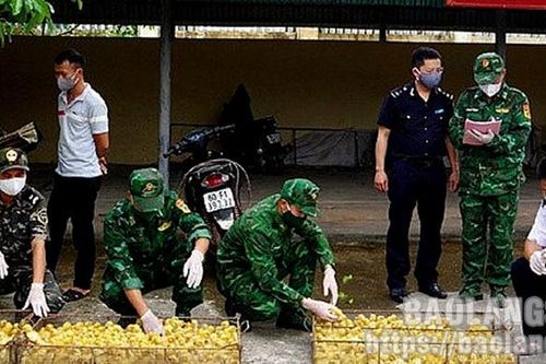Ngăn gia cầm giống nhập lậu: Quyết liệt từ biên giới đến nội địa