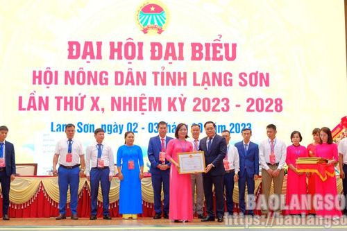 Đồng chí Hoàng Văn Ngôn tái đắc cử Chủ tịch Hội Nông dân tỉnh lần thứ X, nhiệm kỳ 2023 – 2028