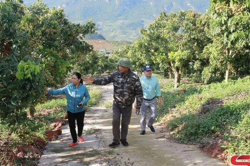 Xây dựng nền nông nghiệp xanh, bền vững